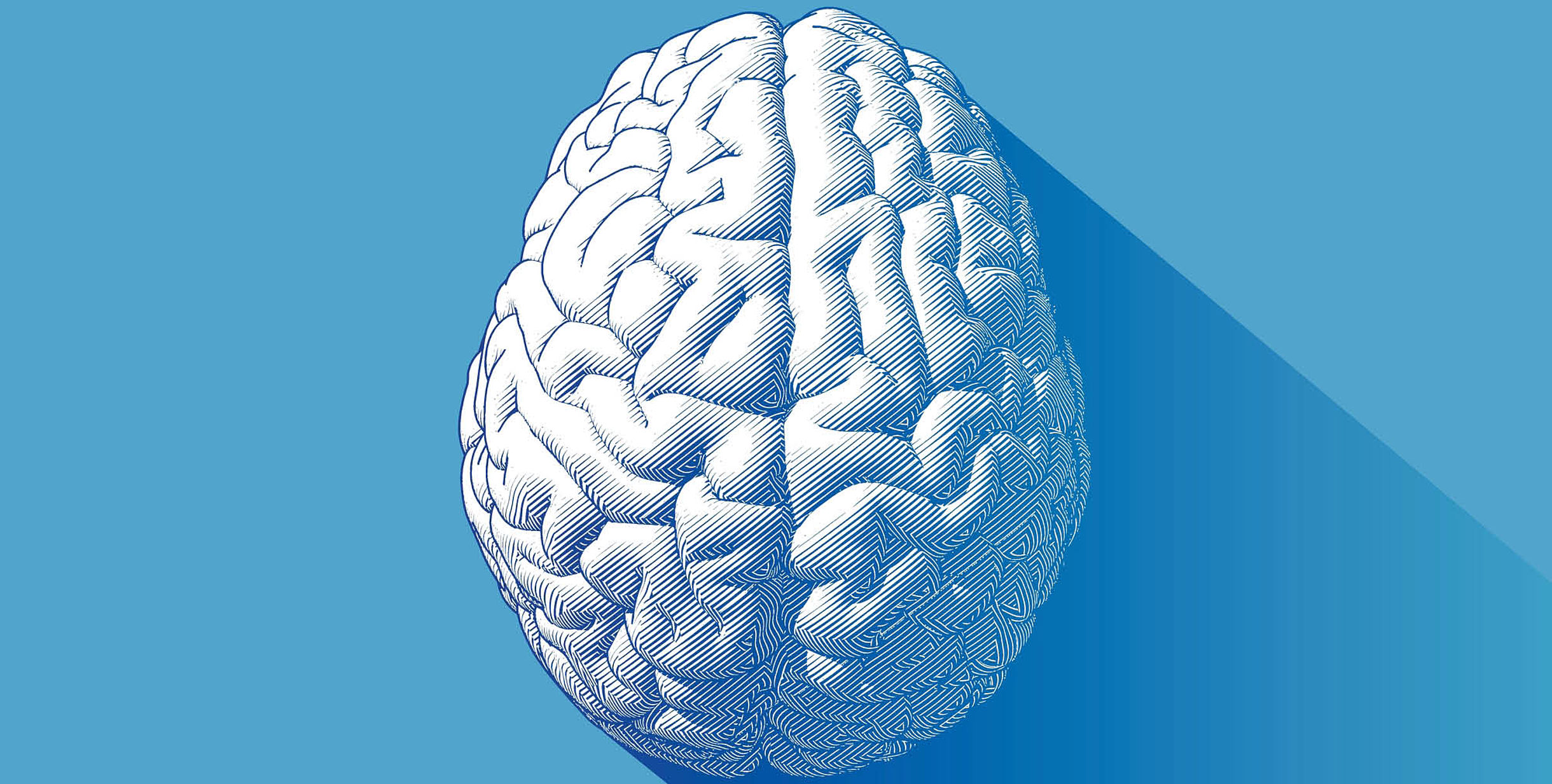 Symbolfoto eines Gehirns
