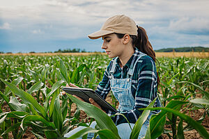 Woman in the field works with a tablet