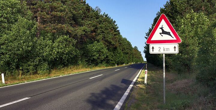 Road with dear crossing sign