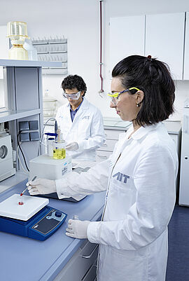 Researchers in the lab